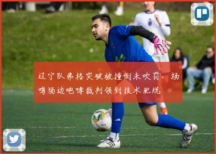 辽宁队弗格突破被撞倒未吹罚,杨鸣场边咆哮裁判领到技术犯规